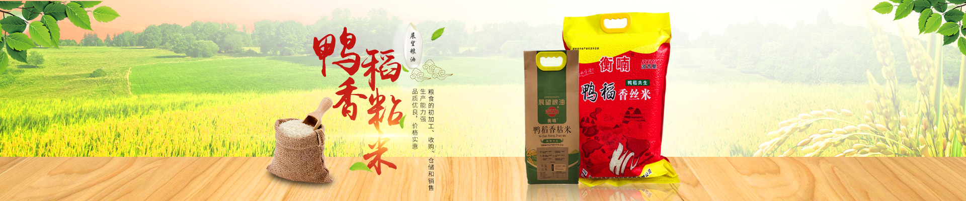 湖南省展望生物科技發(fā)展有限公司_農(nóng)副產(chǎn)品加工|糧食收購